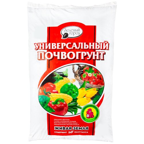 ���� ���������� 