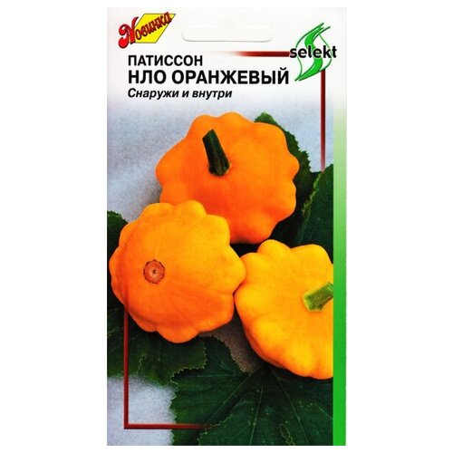 ���� �������� ��� ���������, 17 ����� ������ ������