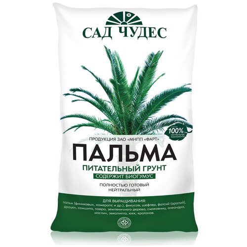 ���� ����� ������ 5� ���� ������ ������