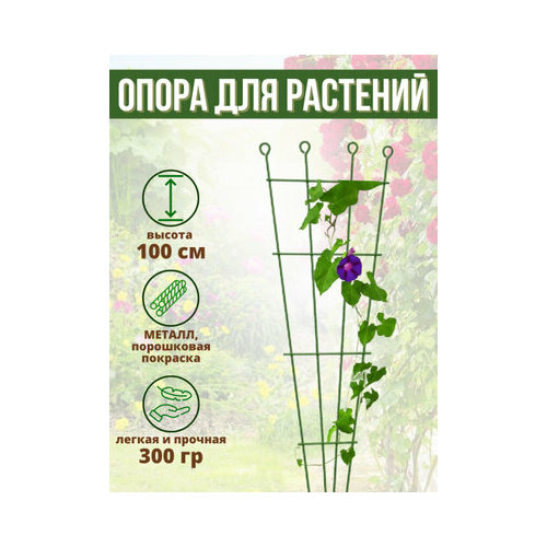 ���� ������� ��� �������� �������� ���������� ���� �������, 100 �� ������ ������