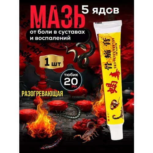 ���� ��������� ���� ��� �������� �� ���� GUTONG GAO 1�� ������ ������