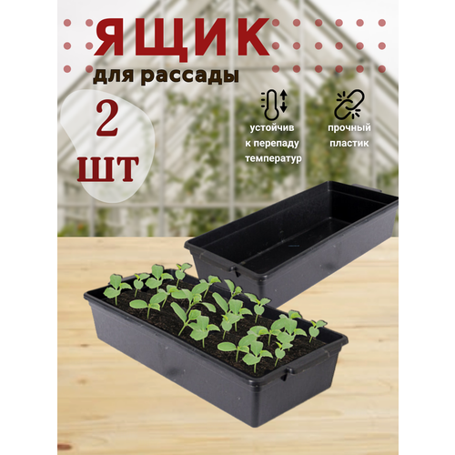 ���� ���� ��� ������� ���-�-��� 43�20�10��, 2 ����� ������ ������