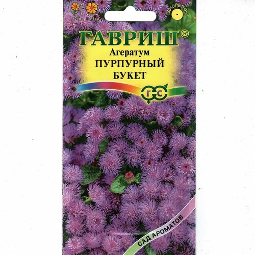 ���� �������� ��������� ����� ����� ��� �������� ������ ������