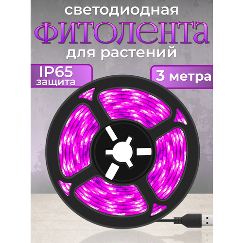 ���� ��������� ������������ ��� ��������, ��������� ��� �������, 3 ����� ������ ������