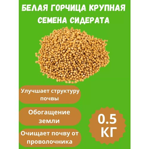 ���� ������ ������� ������� 0,5 �� ������ ������