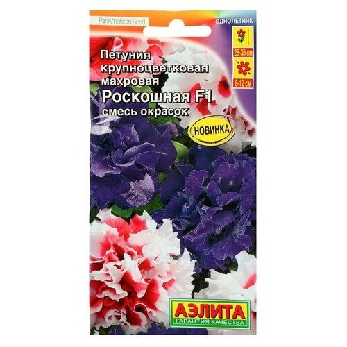 ���� ������ ������ ������� ��������� F1 ��������������� ��������, ����� �������, 10�� ������ ������