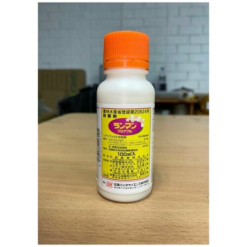 ���� ������ ������� ��������������� �������� ������ 10�� (������ �������) ������ ������