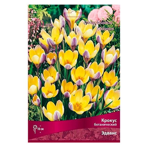 ���� ������ ������������ ������. 10 �������. ��������� ����� ������ ������