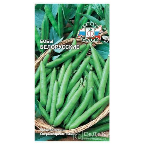 ���� ������ ����� ����� ����������� 10 � ������ ������