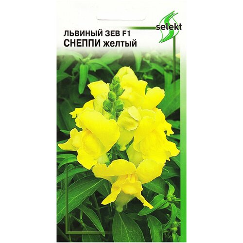 ���� ������� ��� �����, ������, 15 ����� ������ ������