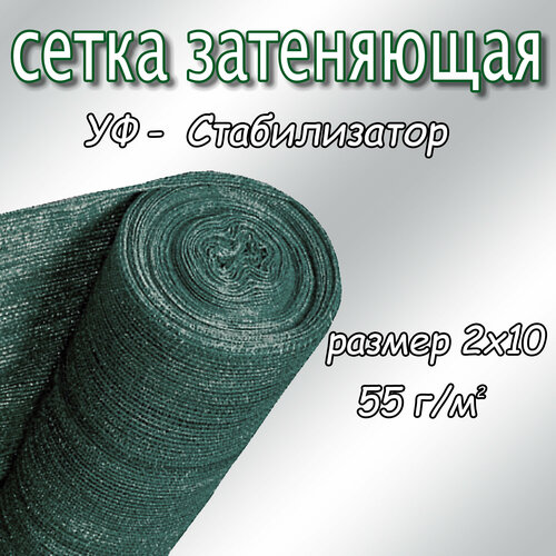 ���� ����� ���������� �������� 40-50%, ��������� 55, 2�10� (����-������) ������ ������