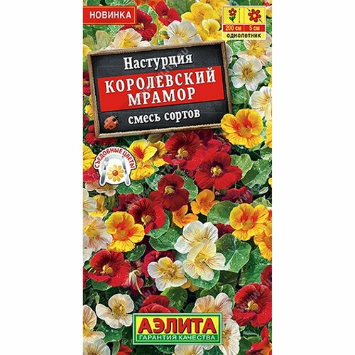 ���� ������ ��������� ����������� ������, ����� ������, ����������, (������) 1� ������ ������