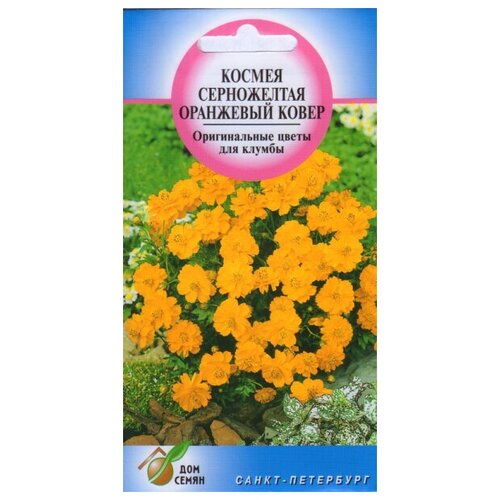 ���� ������ ��������� �����, 25 ����� ������ ������