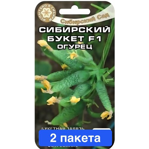 ���� ������ ������ ��������� ��� 