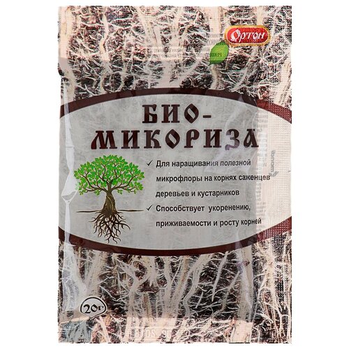 ���� ��������� ����� �����������, 0.02 �, 20 �, 1 ��. ������ ������