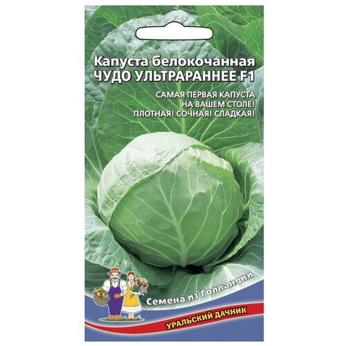 ���� ������ ��������� ������ �� ��������� ������� ������������ ���� ������������ F1 0.3 � ������ ������