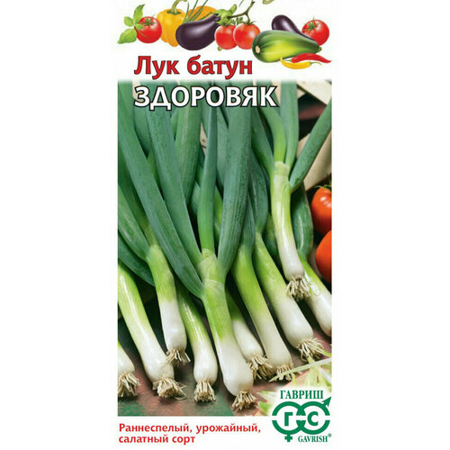 ���� ������ ��� ����� ��������, 0,5�, ������, ������� ���������, 10 �������� ������ ������