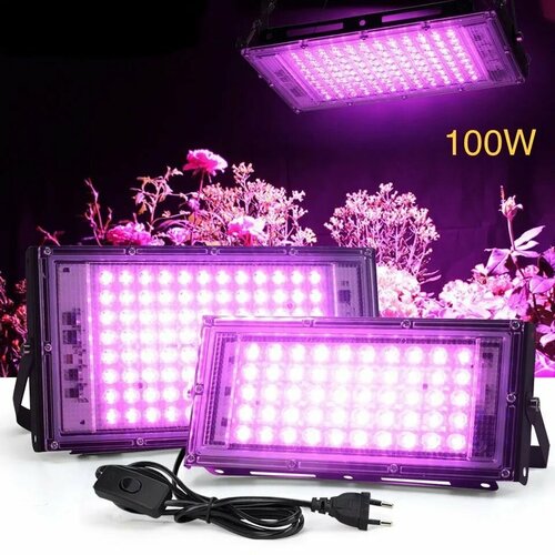   100 .         ,  ,   LED      -     , -, 