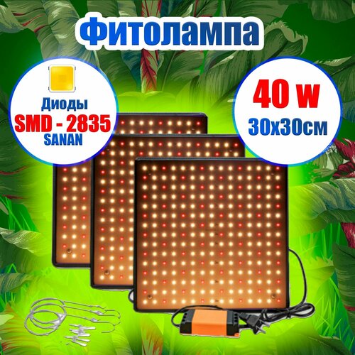   50w         -     , -, 