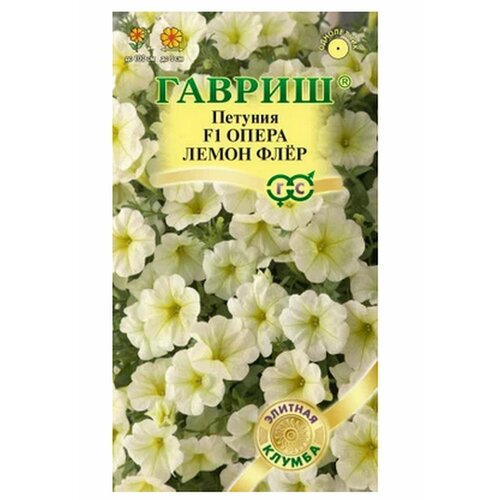 ���� ������ ������� 