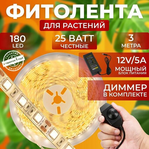 ���� ��������� ��� ����������� �������� ������� ��������� ������ ������ ������ ��������� ����� �������� ������������ ���������� 180 LED 25 ���� 3 �����, ������ - ����������� ������� ������ ������