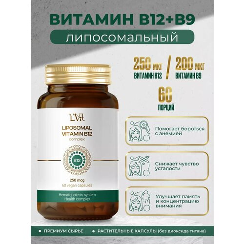 ���� ������������� �������� �12 + �9 60 ������ ������ ������