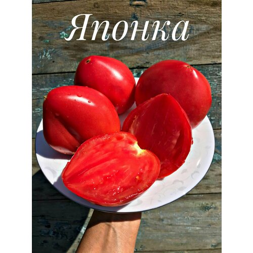 ���� ������������� ������ ������ ������ ������ ������