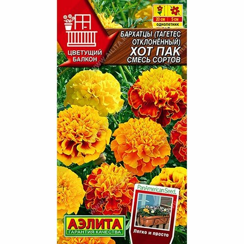 ���� ������ �������� ��� ���, ����� ������, ����������, (������) 5�� �������� ������ ������ ������