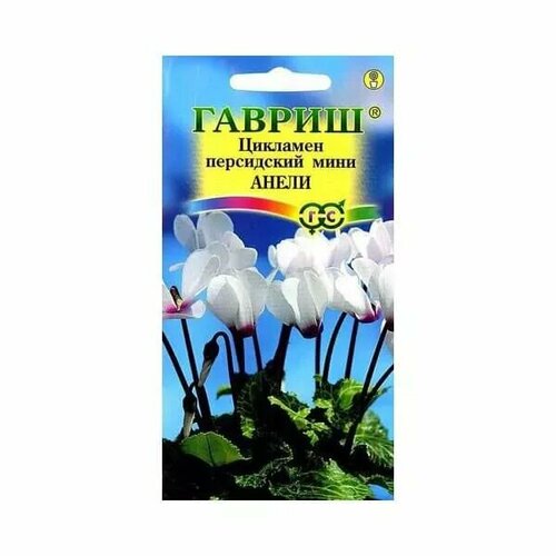 ���� �������� ����� ���������� ���� 3�� ������ ������