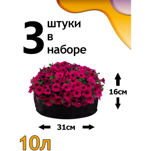 ���� ������ ���� 10� - 3�� ������ ������