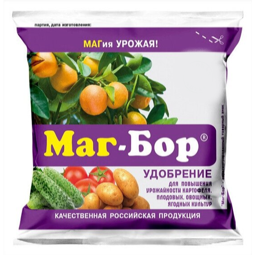 ���� 3 �������� ���- ���, ��������� ������������� ��������������, 200�� ������ ������