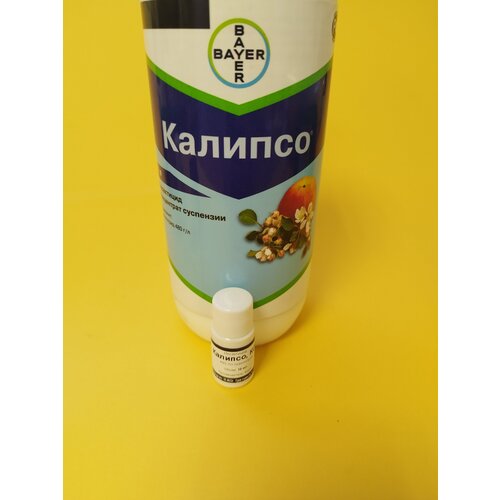 ���� ���������� ������� 10 �� ������ ������