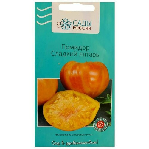 ���� ������ ������ ������� ������ / ���� ������ / � �������� 10 ����� ������ ������