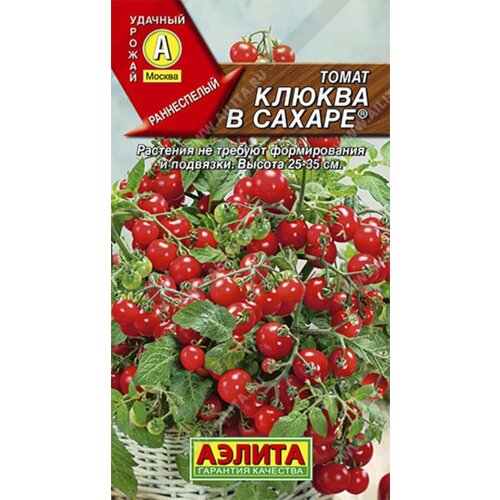 ���� ������ ����� ������ � ������ ����� 20�� ��� ������ (������) ������ ������