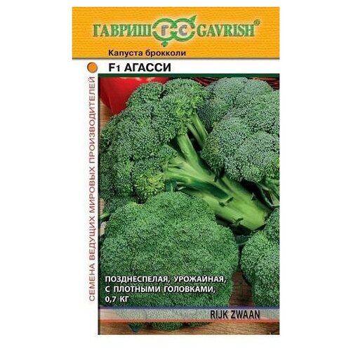 ���� ������. ������� �������� 