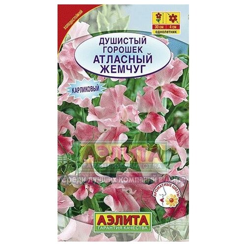 ���� ������. �������� ������� 