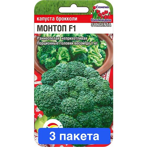 ���� ������ ������ ��������� ��� 