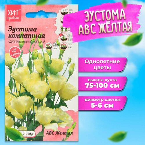 ���� ������� ������ ������ �����������, ������� ��������� ������ ������