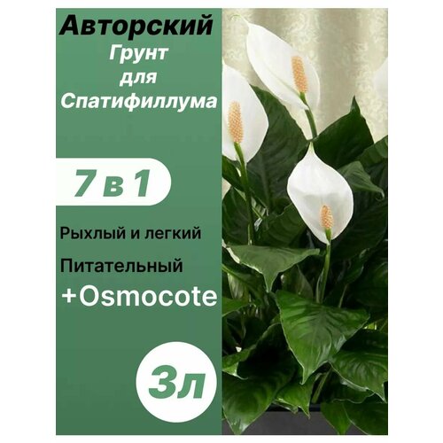 ���� ����� ��� ������������ 3� / ������� ������ ������