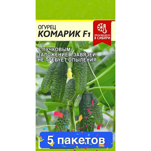 ���� ������ ������ ������ ����� 