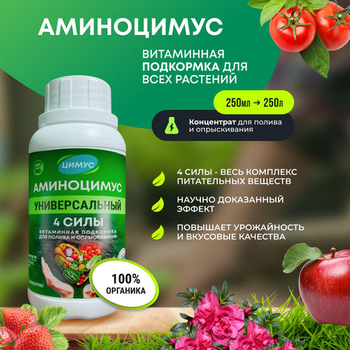 ���� ���������� - ������������� �������� ��������� ��� ������ � ������������ �������� 250 �� ������ ������