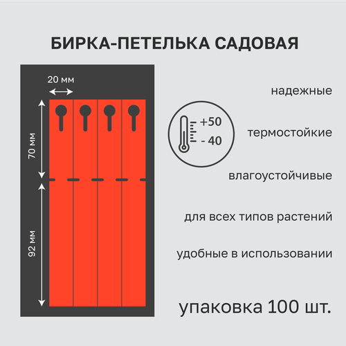      20x162 ( 70.) 100    -     , -, 