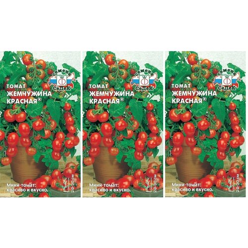 ���� ������ ����� ��������� ������� 0,1 � (�����) , 3 ������ * 0,1 � ; �������� ��� ����������� �� ������� ��� �����������. ������ ������