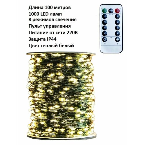   LED  :   /100 /1000 LED //  / /8  / .   -     , -, 