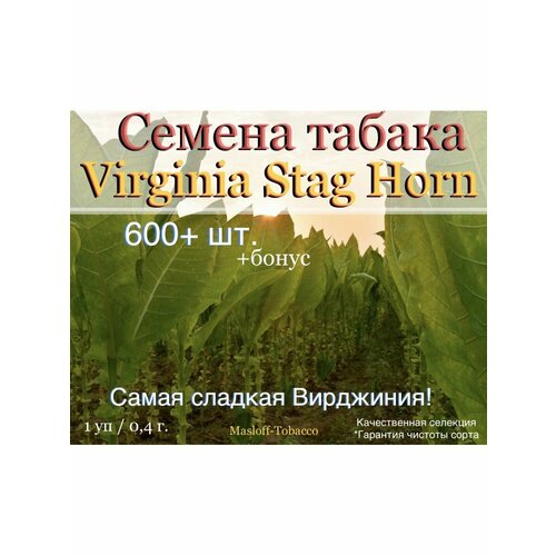    Virginia Stag Horn   -     , -, 