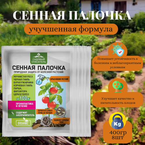 ���� ������ ������� 50�� / 8��. ������� ��������� ������ ������