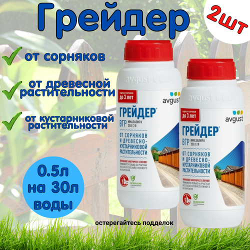 ���� �������� Avgust 