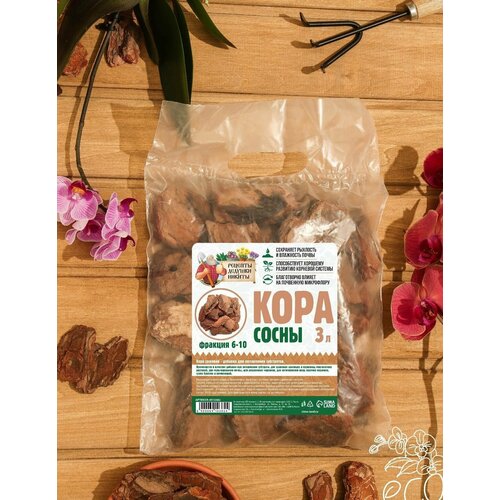 ���� �������� ���� �������� ������� ������� (3 �����) ������ ������