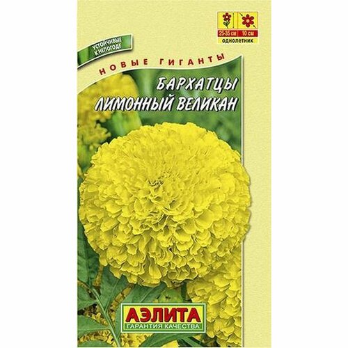 ���� ������ �������� �������� ������� ����������, (������) 0,1� ������ ������