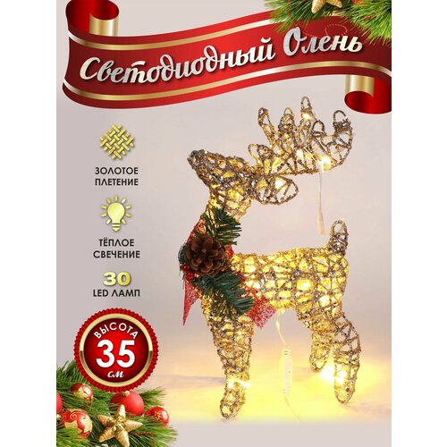 ���� ����� ���������� ������������ ���������� 30 �� ������� ������ ������